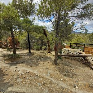 Ecozonia - Amur leopards aviary