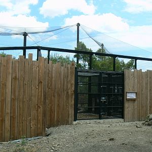 Ecozonia - Amur leopards aviary