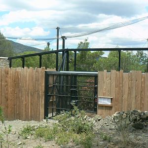 Ecozonia - Amur leopards aviary