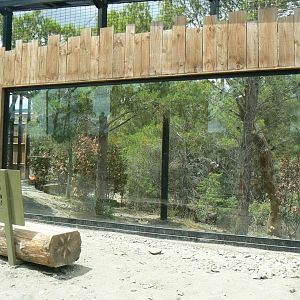 Ecozonia - Amur leopards aviary