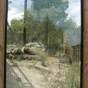Ecozonia - Amur leopards aviary