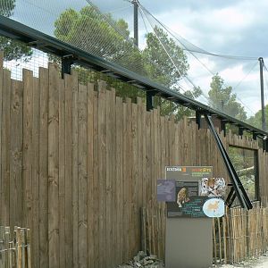 Ecozonia - Amur leopards aviary
