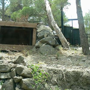 Ecozonia - Amur leopards aviary