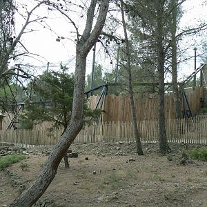 Ecozonia - Amur leopards aviary
