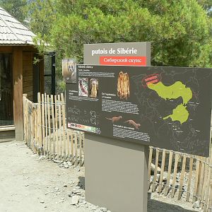 Ecozonia - Sibearian weasels sign