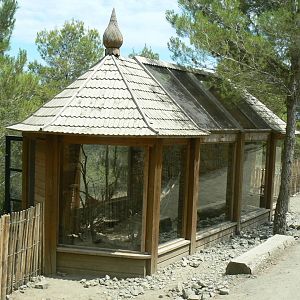Ecozonia - Sibearian weasels exhibit