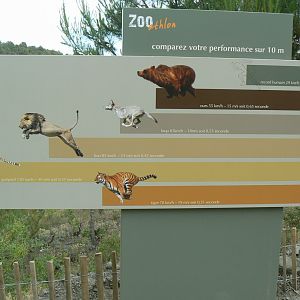 Ecozonia - Game on predators velocity