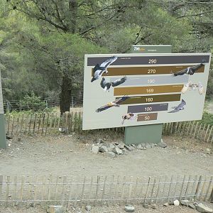 Ecozonia - Information panel on birds fo prey size