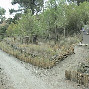 Ecozonia - Return path to the entrance