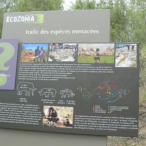 Ecozonia - Information panel on endangered species traffic