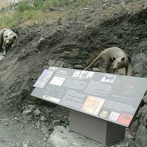 Ecozonia - Information panels on extinct species