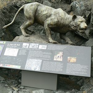 Ecozonia - Information panel on extinct Bali tiger