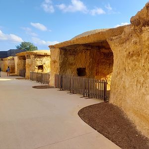 Bioparc Zoo de Doué - Future new aardvarks enclosure