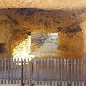 Bioparc Zoo de Doué - Future new aardvarks enclosure
