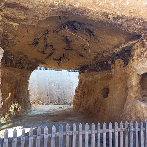 Bioparc Zoo de Doué - Future new aardvarks exhibit
