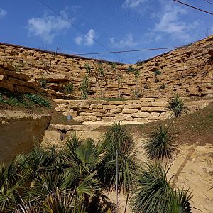 Bioparc Zoo de Doué - New african dry aviary