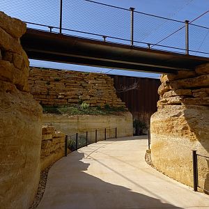 Bioparc Zoo de Doué - New african dry aviary