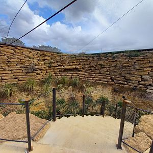 Bioparc Zoo de Doué - New african dry aviary