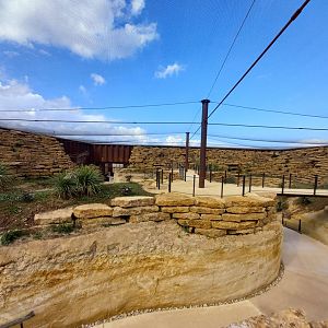 Bioparc Zoo de Doué - New african dry aviary