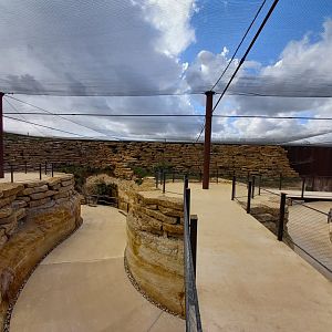 Bioparc Zoo de Doué - New african dry aviary