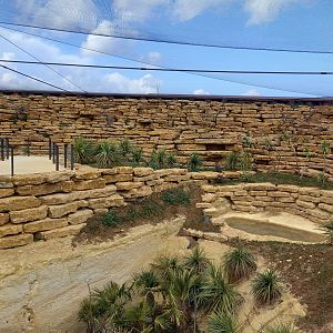 Bioparc Zoo de Doué - New african dry aviary