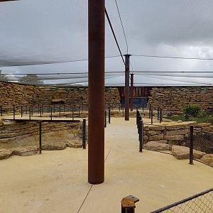 Bioparc Zoo de Doué - New african dry aviary