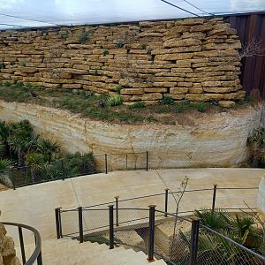 Bioparc Zoo de Doué - New african dry aviary