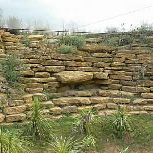 Bioparc Zoo de Doué - Do you spot the hyrax and other species on the photo ?