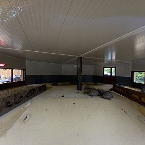 Bioparc Zoo de Doué - New Aldabra's giant tortoises and radiated tortoises house