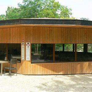 Bioparc Zoo de Doué - New Aldabra's giant tortoises and radiated tortoises house