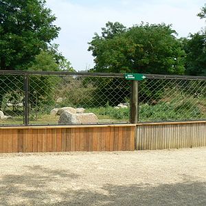 Bioparc Zoo de Doué - New Aldabra's giant tortoises and radiated tortoises exhibit