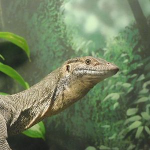 Mertans water monitor