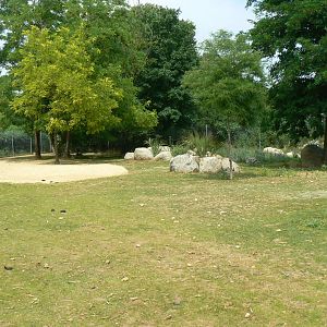 Bioparc Zoo de Doué - New Aldabra's giant tortoises and radiated tortoises exhibit