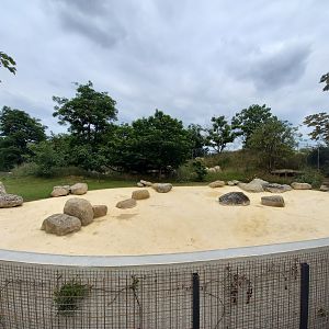 Bioparc Zoo de Doué - New Aldabra's giant tortoises and radiated tortoises exhibit