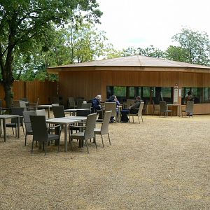 Bioparc Zoo de Doué - New Aldabra's giant tortoises and radiated tortoises house