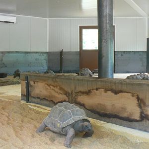 Bioparc Zoo de Doué - New Aldabra's giant tortoises and radiated tortoises house