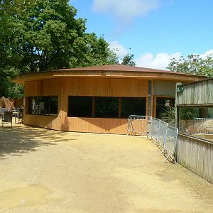 Bioparc Zoo de Doué - New Aldabra's giant tortoises and radiated tortoises house