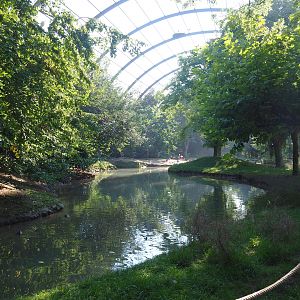 View into the giant walk-through aviary, called the cathedral aviary by the park, 2021-09-03