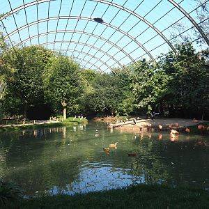 View into the giant walk-through aviary, called the cathedral aviary by the park, 2021-09-03