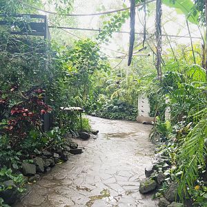 View in the Tropicalia greenhouse, 2021-09-03