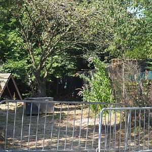 Disused falconry area, 2021-09-03
