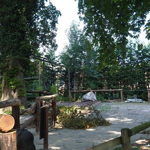 Former aviary and visitor area, now part of the Dromedary camel paddock, 2021-09-03