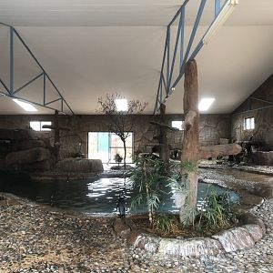 African Penguin Exhibit