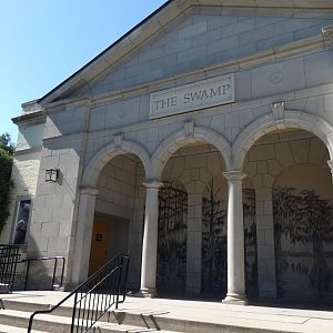 The Swamp - Sep. 2021