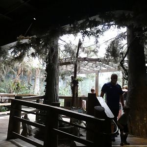 Boardwalk Overlook, The Swamp - Sep. 2021