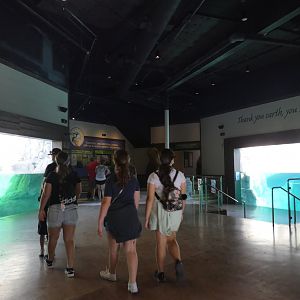 Underwater Bear Viewing, Great Bear Wilderness - Sep. 2021