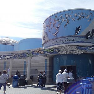 The Living Coast - Sep. 2021