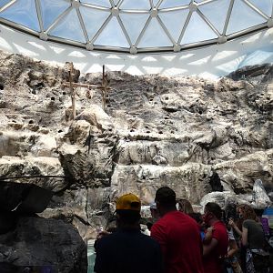 Penguin Exhibit, The Living Coast - Sep. 2021