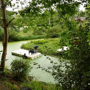 Building bridges, September 2021