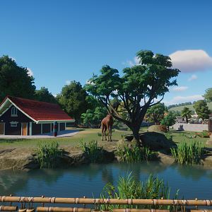 Giraffe and zebra enclosure